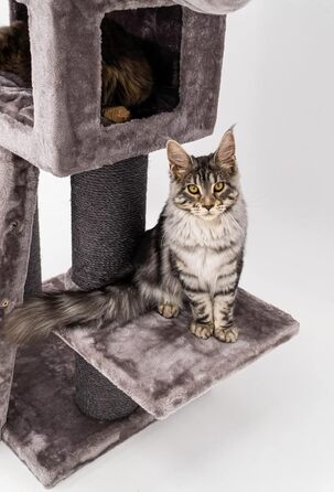 Дряпак для котів Petrebels Parklane 175 см, преміум, з XXL гамаком, спальним будиночком, диваном, товсті стовпи, кольору капучино
