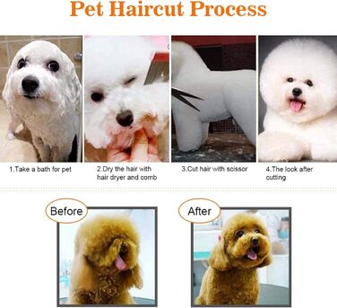 Набір професійних ножиць для грумінгу собак та котів - Набір ножиць для догляду за тваринами