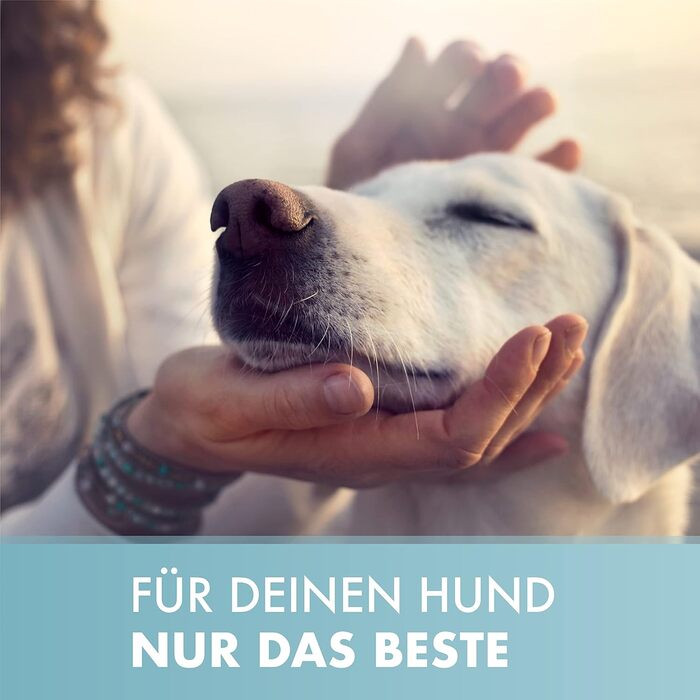 Ліжко для собак з віско-матрацом, миється - корзинка для собак, високоякісне собаче ліжко, ліжко для собак, що захищає суглоби, міцна собача підстилка, розмір L 110 x 90 см, коричневе