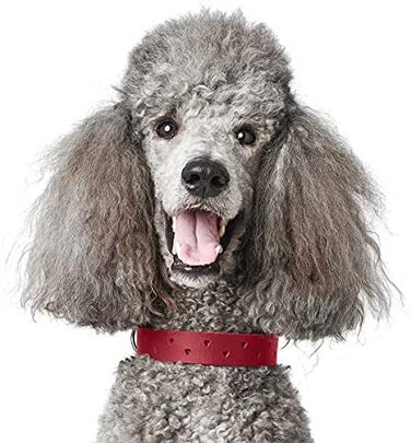 Нашийник для собак HUNTER Aalborg Soul, червоний, з сердечком, міцний, розмір 35