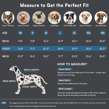 Зимовий теплий водонепроникний одяг для собак Queenmore, куртка для собак з шлейкою, 3-шаровий, світловідбиваючий, для великих порід (Лабрадор, Хаскі, Голден Ретрівер) (2XL) (XS, Коеліновий блакитний)