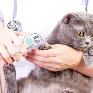 Ножиці для собак | Ножиці для стрижки кігтів, догляд за лапами, інструмент для шліфування дрібних тварин, птахів, кошенят, стрижка кігтів для догляду за домашніми тваринами (блакитні)