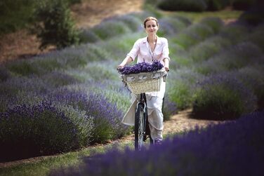 Фарбований плетенний кошик для велосипеда e-wicker24 1126-42, 42x36x24 см, медовий колір