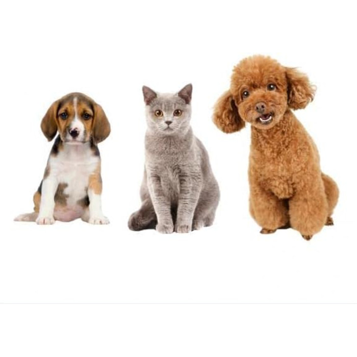 Ножиці для грумінгу собак Milageto - вигнуті ножиці для стрижки та фінальної обробки, 6,5 дюймів