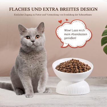 Підвищена годівниця для котів з кераміки - нахилена миска проти блювоти для котів - 280 мл, діаметр 15,5 см, біла
