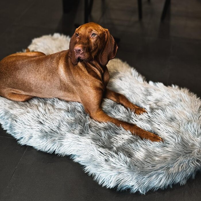 Ортопедичне собаче ліжко iHAPPYDOG з м'якої плюшевої тканини, Memory Foam, для собак маленьких, середніх, великих та XL, водонепроникний та пральний чохол (Сірий)