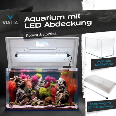 Акваріум прямокутний Juwel з LED кришкою, білий, 60x30x30 см, 54 л, скляний, для риб та водних рослин, ударостійкий