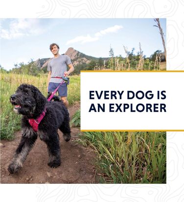 Повідок для собак RUFFWEAR Patroller, безручний, регульований, носиться на поясі, вулканічно-червоний