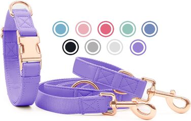 Набір собачий: шкіряний нашийник та поводок (2м) - регульований, з металевою застібкою Rose Gold, для собак різних розмірів, фіолетовий, M (XS, ширина 1.5см)