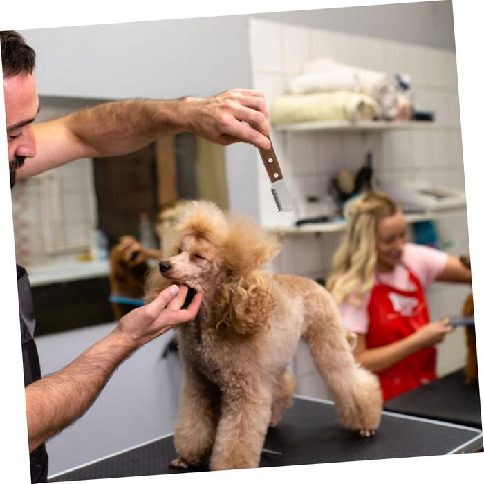 Набір щіток для грумінгу собак та котів Minkissy 2 шт. для видалення підшерстка, нержавіюча сталь, ергономічний дизайн