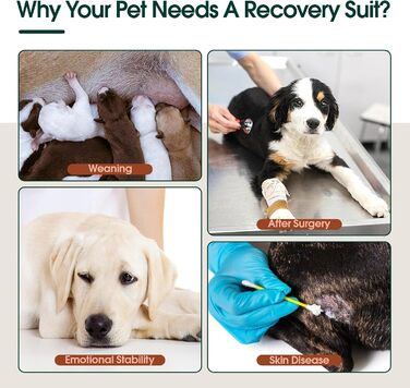 Захисний одяг Kuoser M для собак після операції (для сук та кобелів) – дихаючий захисний костюм, альтернатива електронному нашийнику. Розміри: спина 34-41 см, груди 49-59 см, чорний