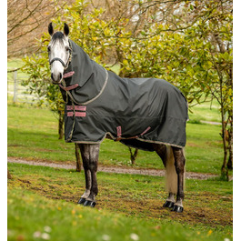 Кінська попона Horseware Amigo Hero Ripstop Plus, легка, 0 г