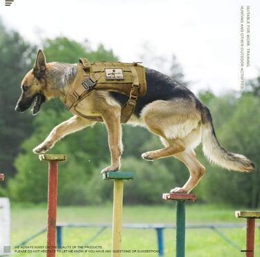 Тактична службова шлейка для собак K9, військова MOLLE-веста, XL (шийний обхват 54,6-62,2 см, грудний 72,1-76,2 см), колір хакі, для тренувань і полювання