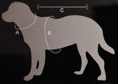 Теплий зимовий одяг для собак JEGGO: куртка, дощовик, жилет для собак, XXS-XXL, чорний/синій