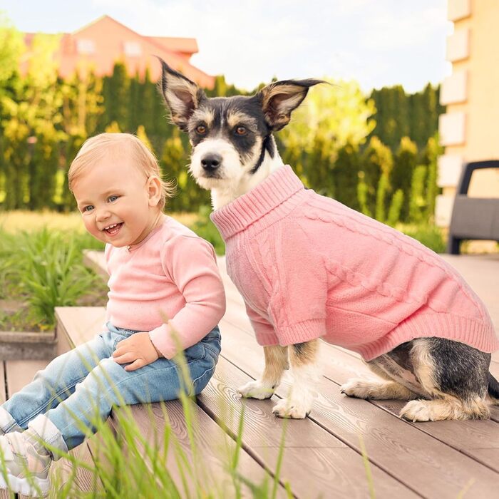 BEAUTYZOO Пуловер для собак з в'язаним візерунком 