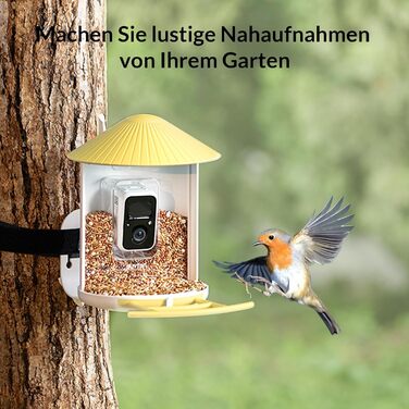 Розумна годівниця для птахів NETVUE Birdfy з WiFi камерою, відеозаписом, кольоровим нічним баченням, автоматична станція для підгодівлі диких птахів