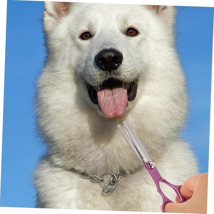 Набір професійних ножиць для грумінгу собак Supvox з гребінцем: для стрижки та догляду за шерстю. Нержавіюча сталь, легко миються.