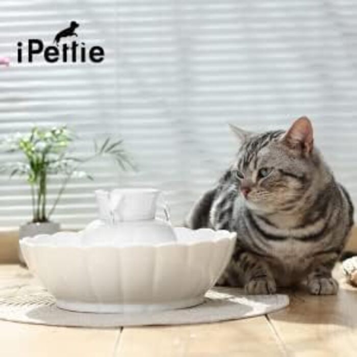 Комплект фільтрів iPettie для керамічного фонтану: 4 активованих вугільних фільтри та 1 пінний фільтр для автоматичної поїлки для котів і собак
