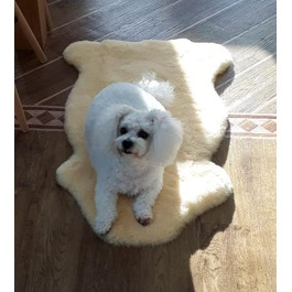 М'який лежак для собак та котів з овечої вовни Merino, 60 см. Оeko-Tex 100, німецька якість. Легко миється.