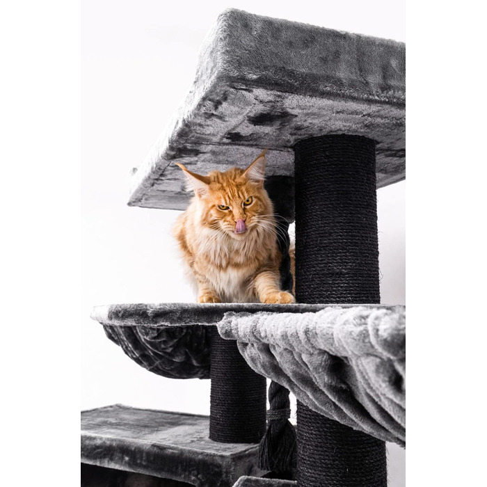 Дряпка для котів Petrebels Maine Coon XXL Alley 200 см, преміум, для великих котів, чорна