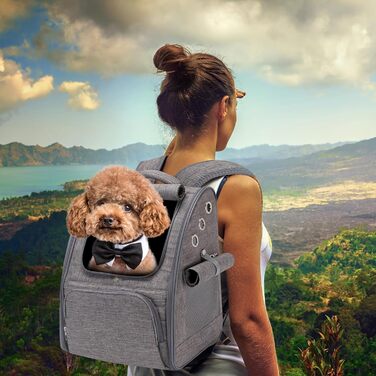 Рюкзак для собак та котів PETCUTE: дихаючий, складаний, для малих порід, сірий