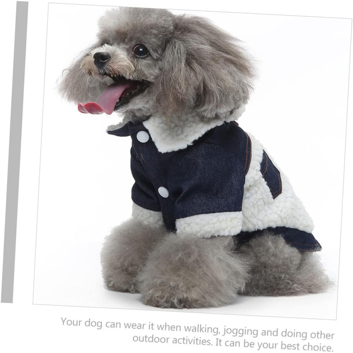 Зимовий одяг для собак iBasenice: зручний халат, теплий костюм, дихаюча куртка для холодної погоди