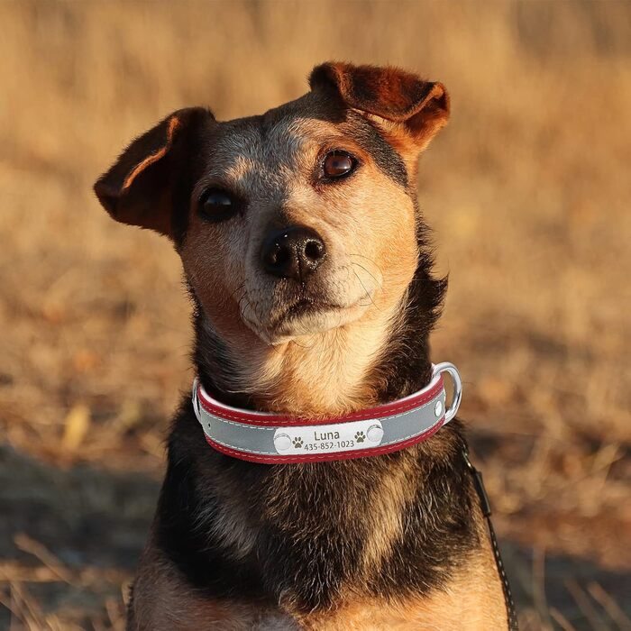 Персоналізоване світловідбиваюче нашийник та поводок для собак Senristar з гравіюванням, для малих, середніх та великих собак та котів (XL, ширина 3,0 см, обхват шиї 45-55 см), червоний комплект