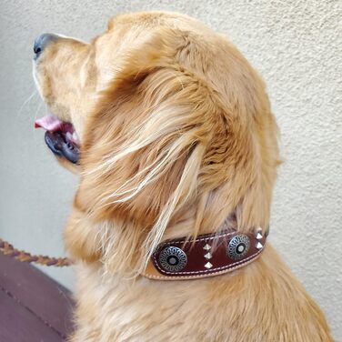 Широкий шкіряний нашийник для великих собак BlazingPaws Armington, 5,1 см, натуральний/коричневий, з підкладкою, кончо та квадратними заклепками, XL (48,3–58,4 см), для західного стилю