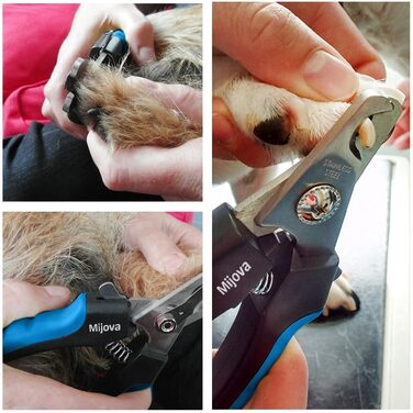 Професійний кусачки для собак та котів, безпечні кусачки для догляду за нігтями, блакитні