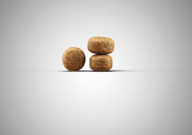 Сухий корм для дорослих собак старшого віку JOSERA Balance, 12.5 кг