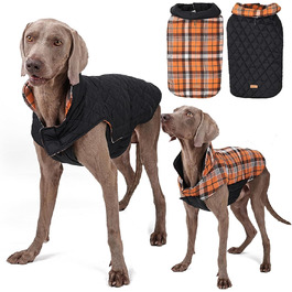 колір: помаранчевий