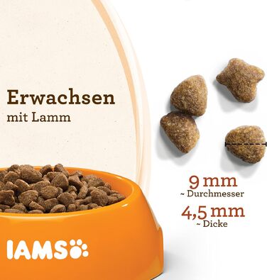 Сухий корм для котів IAMS Naturally з лососем та рисом, 2.7 кг