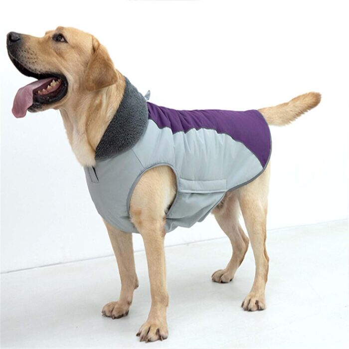 Водонепроникний зимовий одяг для собак - тепла куртка з флісовою підкладкою та захистом живота, для малих, середніх та великих собак (Lila, M)