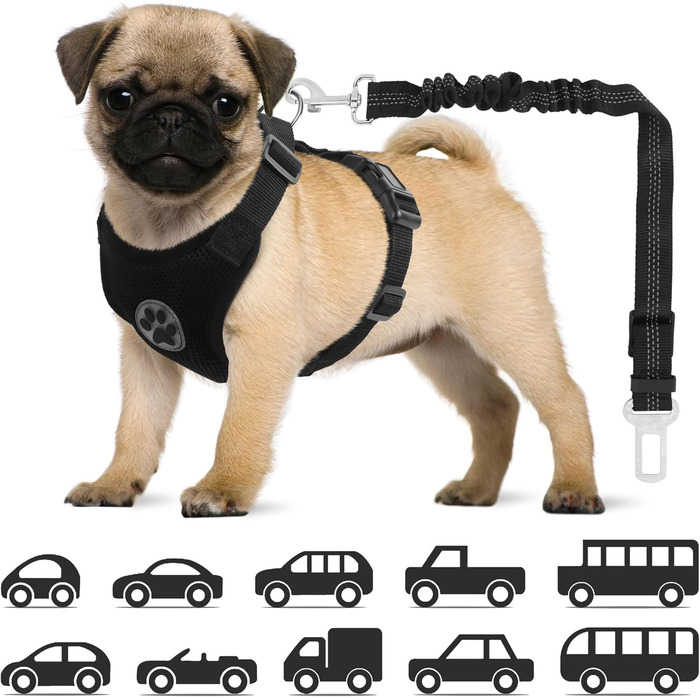 Нашийник для собак NiCola з кріпленням для автопасків, чорний. 2 шт., регульований, для подорожей та повсякденного використання (XS)