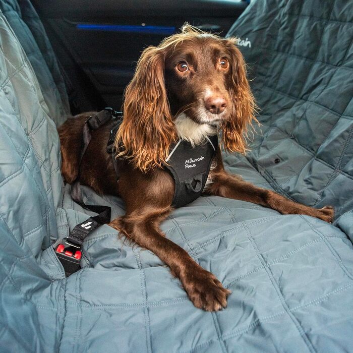 Чохол на автокрісло для собак Mountain Paws Extra Robuster: міцний, зносостійкий, універсальний, з сумкою для зберігання