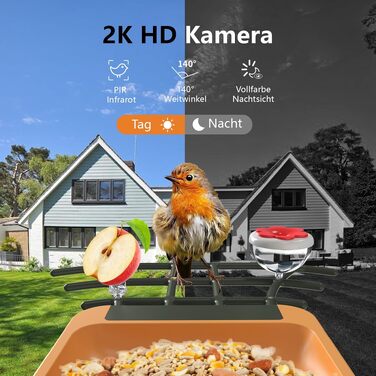 Годівниця для птахів з камерою 2K HD, кольровим нічним баченням та ШІ-розпізнаванням птахів, сонячна панель, автоматичний запис відео, помаранчева