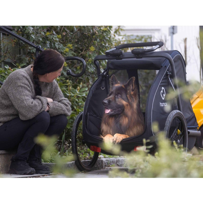 Haax Pluto: Амулет для собак, зелений (L, Чорний)