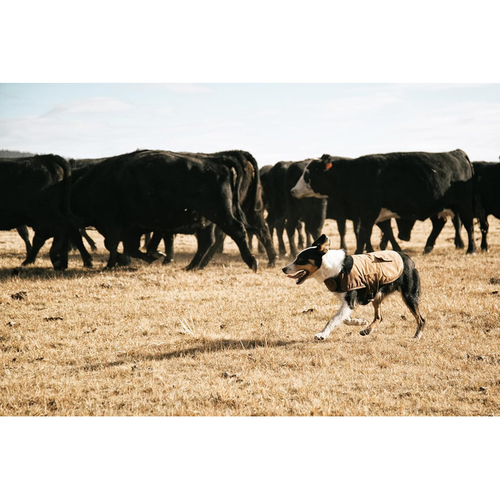 Куртка для собак Carhartt Firm Duck Insulated, чорний колір