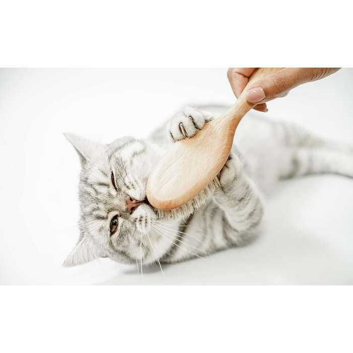 Щітка для котів LucyBalu® для короткої та довгої шерсті | Щітка для вичісування шерсті котів | Щітка для підшерстка котів | Гребінець для котів для догляду за шерстю | Щітка для шерсті тварин | Щітка для котів з щетиною та дерев'яною ручкою білого кольору