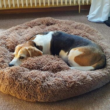 Ортопедичне собаче ліжко XXL для великих та середніх собак. Антистрес, донат, овальне, м'яке, коричневе.