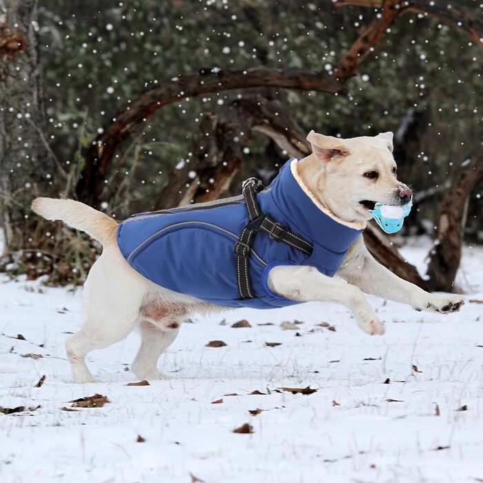 Теплий зимовий одяг для собак CITE TOILE: куртка з блискавкою, захист від вітру, світловідбиваючі смуги, повдішок, розмір XXL, блакитний