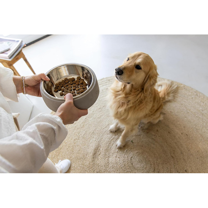 Миска для собак Lotte Riboco, кераміка, 16x16x5 см