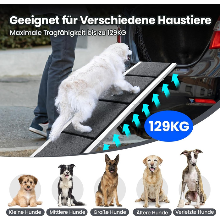 Східці для собак DAISTERN, розкладні, 170 x 44 см, з м'яким килимом, металевий каркас, для собак маленьких, середніх та великих порід