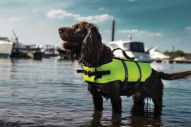 Спасальний жилет для собак Nobby, розмір S, жовтий, спинка 30 см, до 10 кг