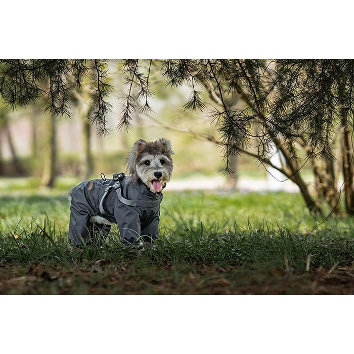 Водонепроникний комплект для собак BT Bear: жилет, дощовик, жилетка, шлейка, 6XL, сірий