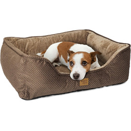 колір: браун