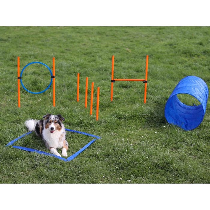 Набір для аджиліті Lemodo для малих та середніх собак | Набір для дресирування з бар'єрами, тунелем та кільцем | Початковий набір для собачого спорту