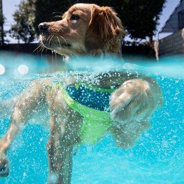 Рятувальний жилет для собак Outward Hound Standley Sport, зелений, розмір M, водонепроникний, для плавання та активного відпочинку