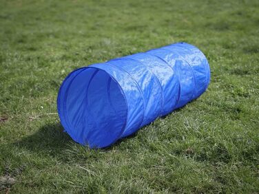 Набір для аджиліті Lemodo для малих та середніх собак | Набір для дресирування з бар'єрами, тунелем та кільцем | Початковий набір для собачого спорту