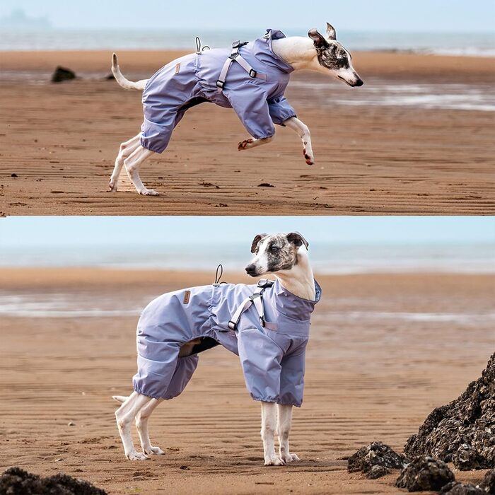 Дощовик для собак маленьких та середніх порід, регульований, з 4-ма лапами, водонепроникний, вітронепроникний, світловідбиваючий, розмір M, фіолетовий